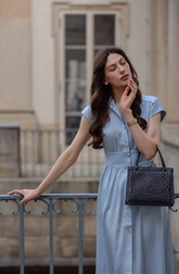 a lady in a blue silk dress